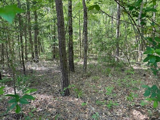 23830 E Hwy 64, Troup, TX 75789