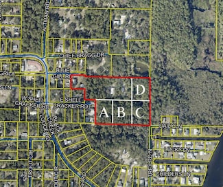 73 E Shellcracker Rd Unit LOT B, Freeport, FL 32439