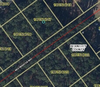 1613 Westminister Way, Moncks Corner, SC 29461