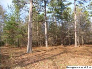 154 Walking Horse Ln Unit 1.16 AC, Anniston, AL 36207