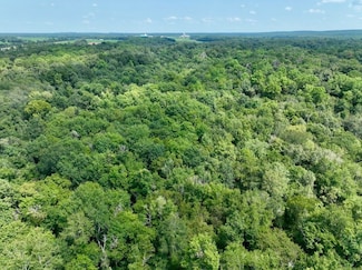 0 Hwy 247 Unit LotWP001, Kathleen, GA 31047