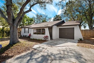 10108 Hunters Point Ct, Tampa, FL 33615