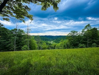 000 Indian Creek Rd, Alma, WV 26320