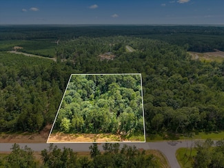 11546 Bramble Ct, Willis, TX 77378