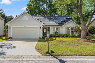 1379 Downsberry Dr, Mount Pleasant, SC 29466