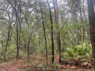 TBD Delaware Ave, Interlachen, FL 32148