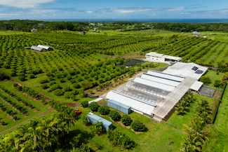 17-4150 Huina Rd, Kurtistown, HI 96760
