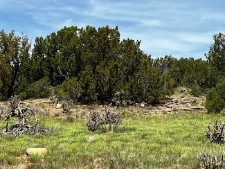 Lot 589 La Deora Blvd, Walsenburg, CO 81089