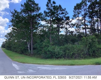 0 Quinn St Unit MFRO6280245, Orlando, FL 32833