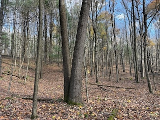 00 Carnes School Rd Lot Unit WP001, Cranberry, PA 16319