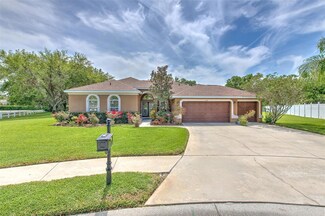 3217 Partridge Point Trail, Valrico, FL 33596