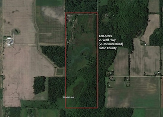 0 Vl McClure Rd - Wolf Hwy Unit 24051186, Eaton Rapids, MI 48827