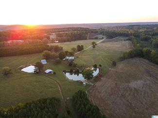 845 Turner Rd, Fayette, AL 35555