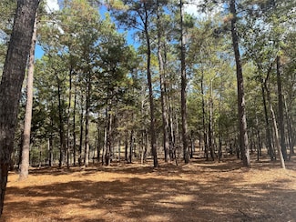 751 Red Hollow, Leggett, TX 77350