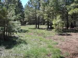 2997 Old Rim Rd Unit 418, Forest Lakes Estates, AZ 85931