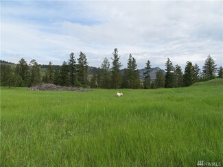 0 Tiffany Rd, Republic, WA 99166
