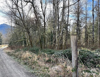 10402 Hendrickson Ln, Sedro Woolley, WA 98284