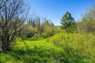 0 Double O St Unit NWM2323353, Ronald, WA 98940