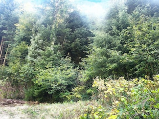 0 Miami Foley Rd Unit 800&900 23-415, Nehalem, OR 97131
