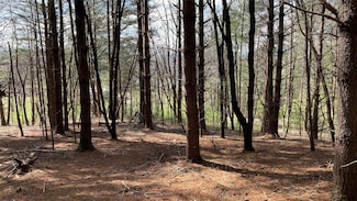 TBD Tole Allison Rd, Mills River, NC 28759