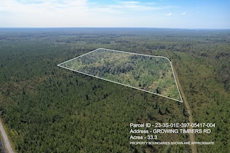 Lot 4 Growing Timbers Rd, Crawfordville, FL 32327