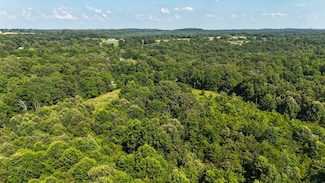000 Martin Cave Ln, Goreville, IL 62939