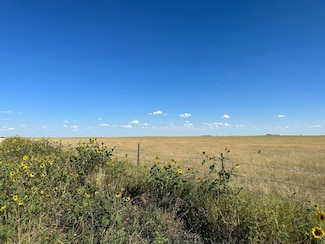 0 Bowen Rd, Rush, CO 80833