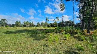 0 NE 199th St Unit 2090537, Waldo, FL 32694