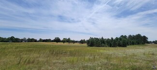 V/L Camden Way, Hawkinsville, GA 31036