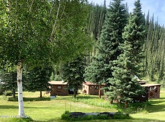 MP113 Taylor Hwy, Chicken, AK 99732