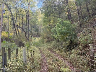 189 Worley Tilson Rd, Flag Pond, TN 37650