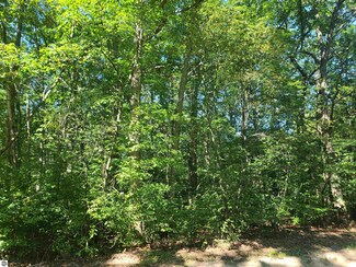 0009 Elizabeth St, Fife Lake, MI 49633