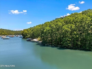 6 Shanghai Landing Ln, Lafollette, TN 37766