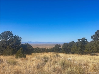 121 Cedar Ridge Rd, Mosca, CO 81146