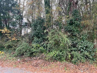 0 Anderson Ext Dr, Spartanburg, SC 29302