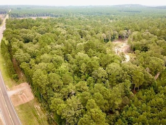 8499 Fm 92 S, Woodville, TX 75979