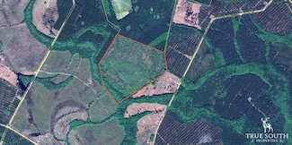 2800 Youngs Island Rd NW, Townsend, GA 31323