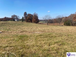 3157 Brandenburg Rd, Leitchfield, KY 42754