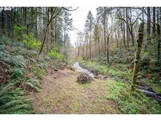 0 NE 181st Ave, Yacolt, WA 98675