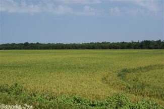 Gathsamane E Altheimer Rd, Altheimer, AR 72004