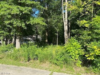 0 Stearns Rd, North Olmsted, OH 44070