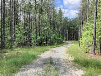37988 Oakey Streak Rd, Andalusia, AL 36421
