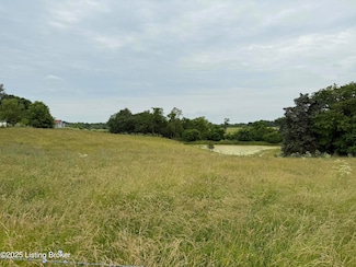 Tract#4 Goatley Ln, Springfield, KY 40069