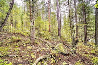 10862-10872 Twin Spruce Rd, Coal Creek Canyon, CO 80403