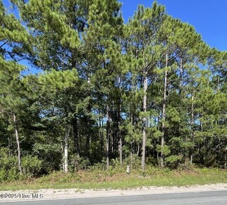 1224 Gray Bridge Rd SW, Shallotte, NC 28470