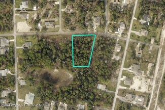 0 Eider Ave Unit 2239563, Weeki Wachee, FL 34613