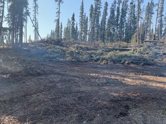 nhn Farrar Rd, Big Delta, AK 99737