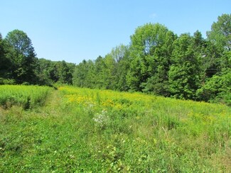 0 Whately Rd Unit 72736587, Conway, MA 01341