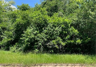 1213 E Roosevelt Ave, Albany, GA 31705