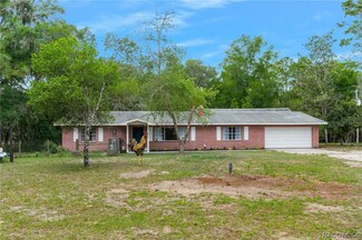 8140 Croom Rital Rd, Brooksville, FL 34602